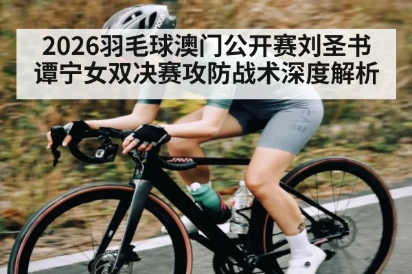 2026羽毛球澳门公开赛刘圣书谭宁女双决赛攻防战术深度解析